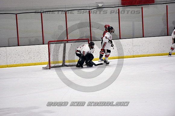 _GSP3917 (Copy)