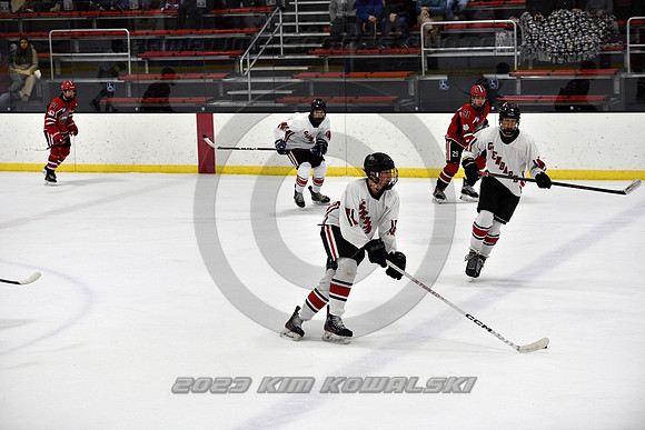 _GSP3814 (Copy)