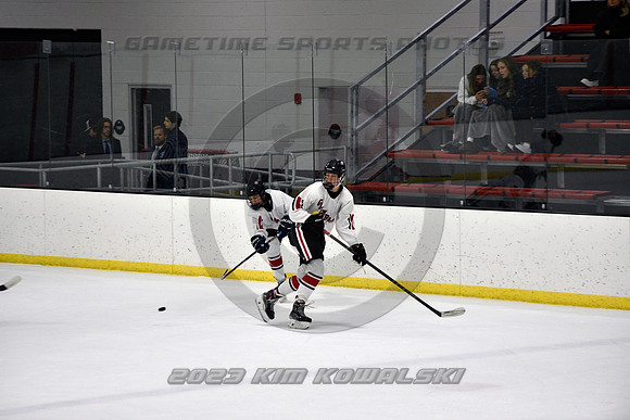 _GSP3918 (Copy)
