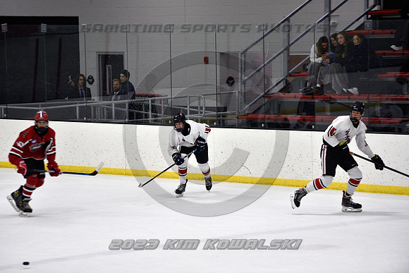 _GSP3919 (Copy)