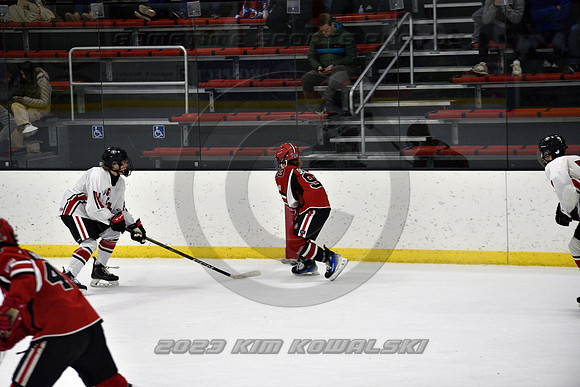 _GSP4324 (Copy)