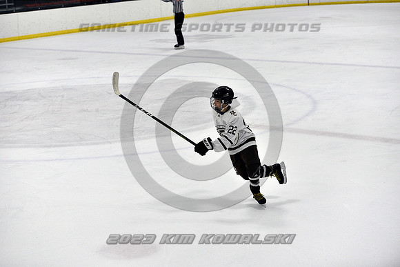 _GSP2752 (Copy)