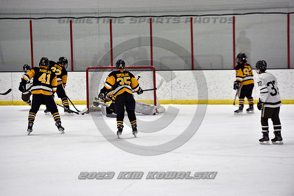 _GSP2831 (Copy)