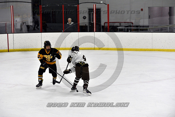 _GSP2754 (Copy)