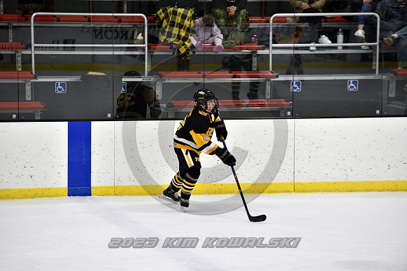 _GSP2761 (Copy)