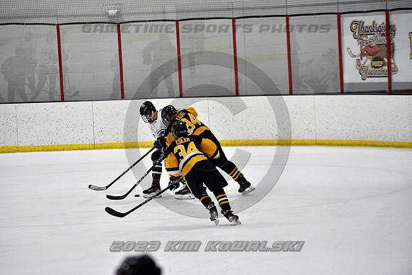 _GSP2764 (Copy)