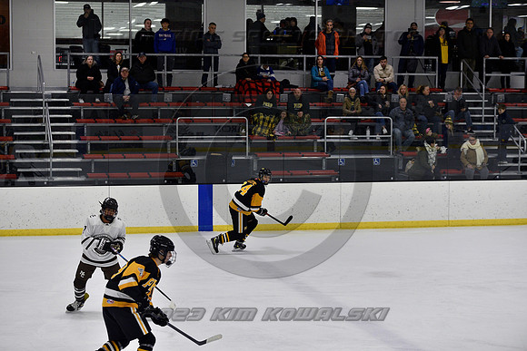 _GSP2636 (Copy)