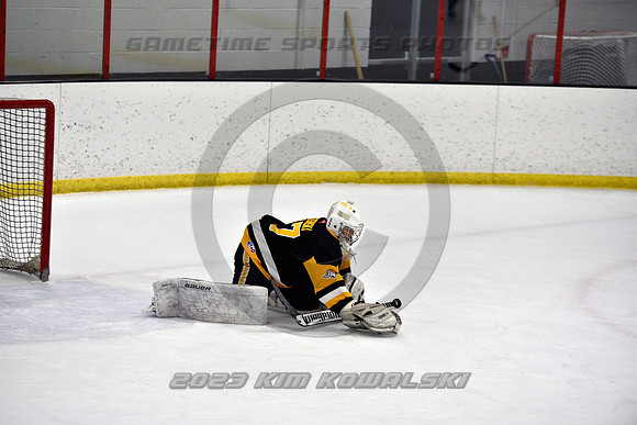 _GSP2703 (Copy)