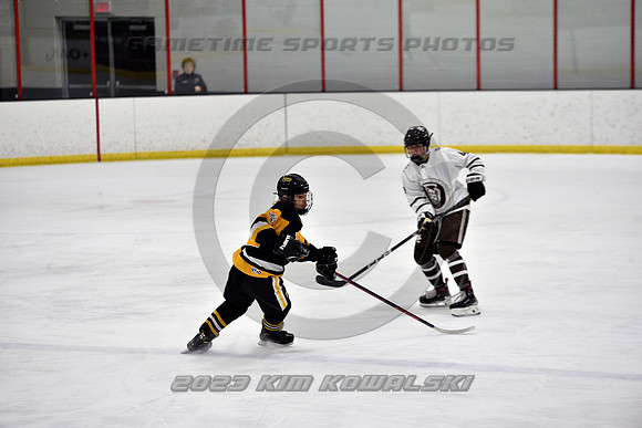 _GSP2483 (Copy)