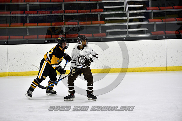_GSP2556 (Copy)