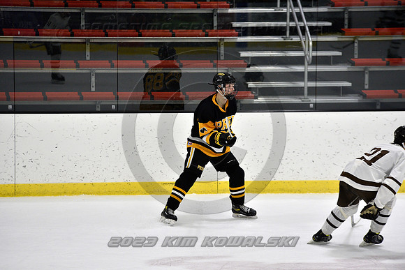 _GSP3094 (Copy)