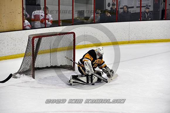 _GSP3119 (Copy)