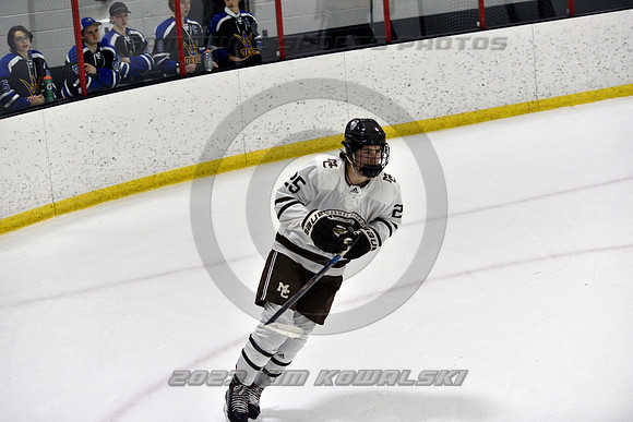 _GSP3022 (Copy)