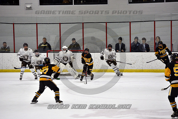 _GSP3049 (Copy)