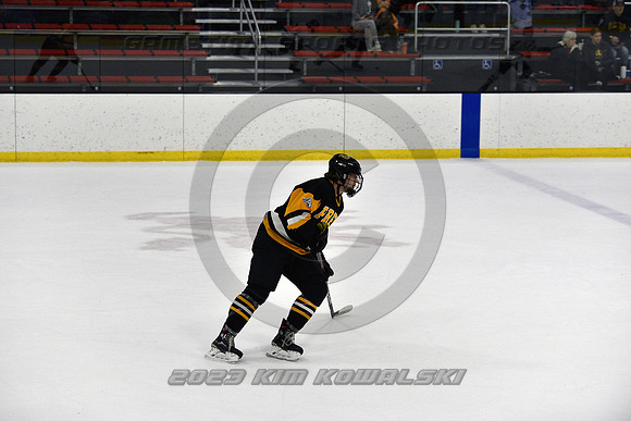 _GSP3072 (Copy)