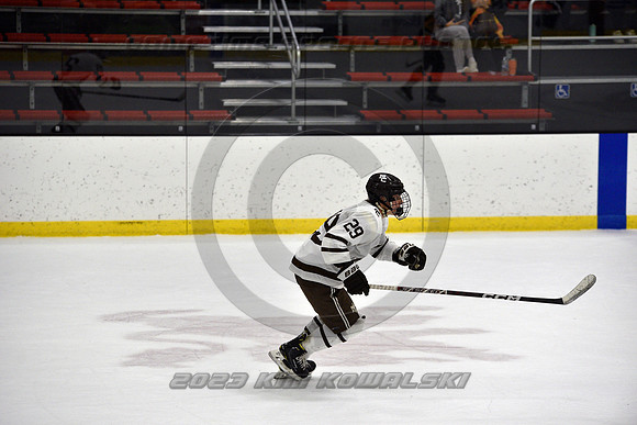 _GSP3073 (Copy)