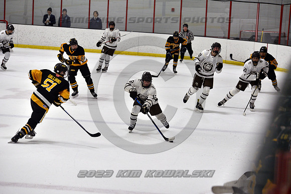 _GSP3098 (Copy)