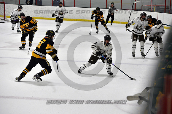 _GSP3099 (Copy)