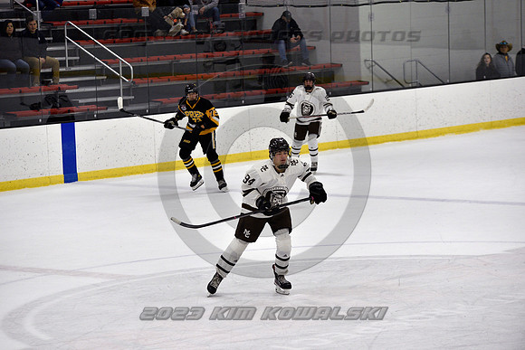 _GSP3027 (Copy)