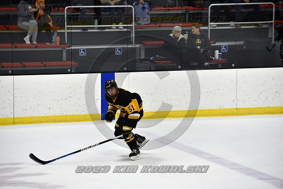 _GSP3033 (Copy)