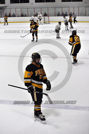 _GSP3056 (Copy)
