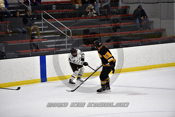 _GSP3082 (Copy)