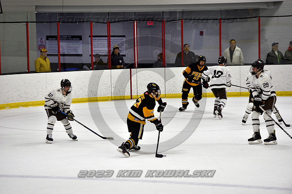 _GSP3057 (Copy)