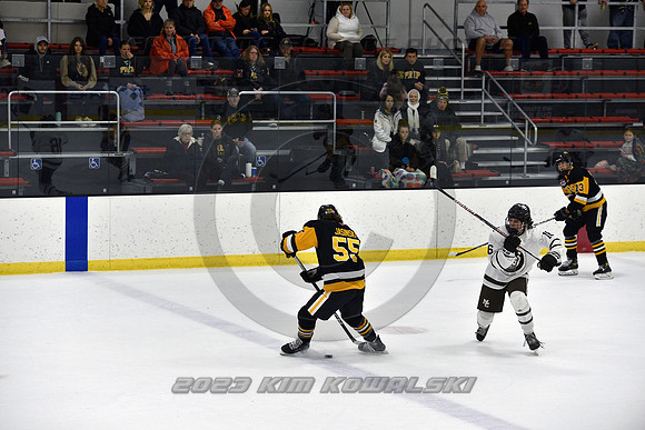 _GSP3038 (Copy)