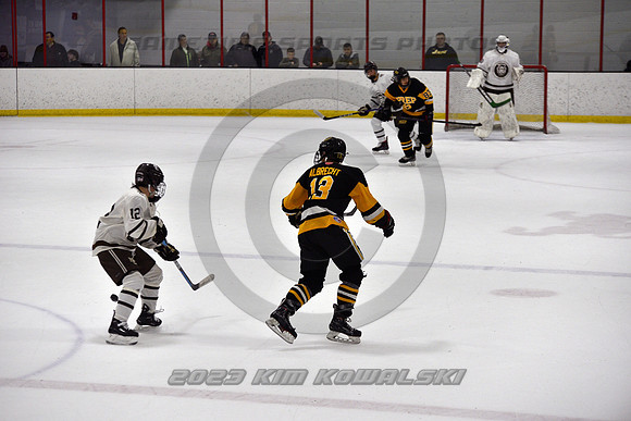 _GSP3061 (Copy)
