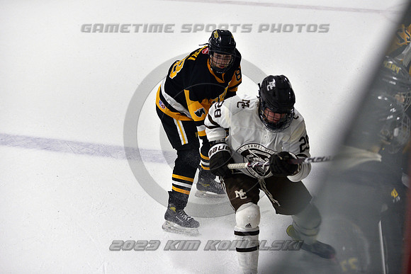 _GSP3086 (Copy)
