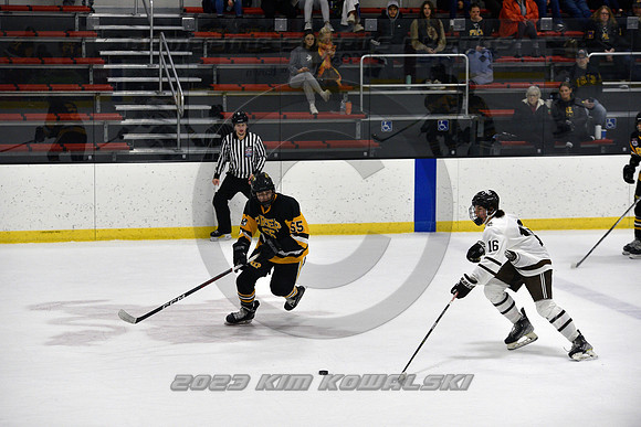 _GSP3039 (Copy)