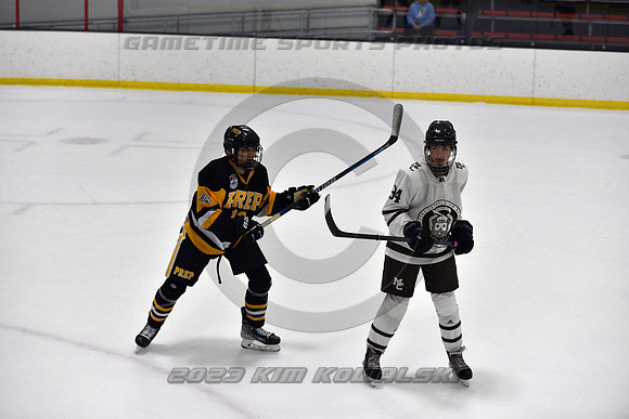 _GSP3133 (Copy)