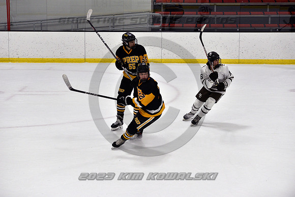 _GSP3041 (Copy)