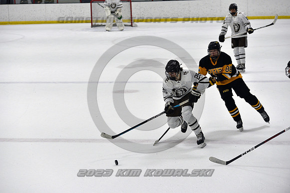 _GSP3114 (Copy)