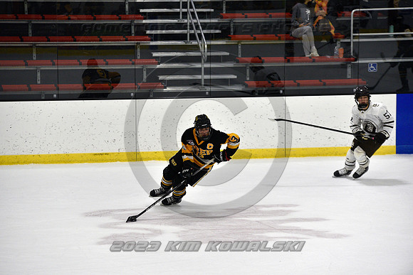 _GSP3067 (Copy)