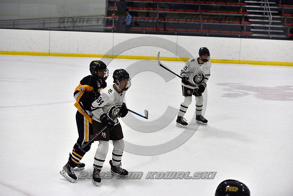 _GSP3135 (Copy)