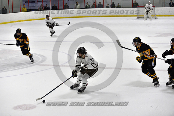 _GSP3115 (Copy)