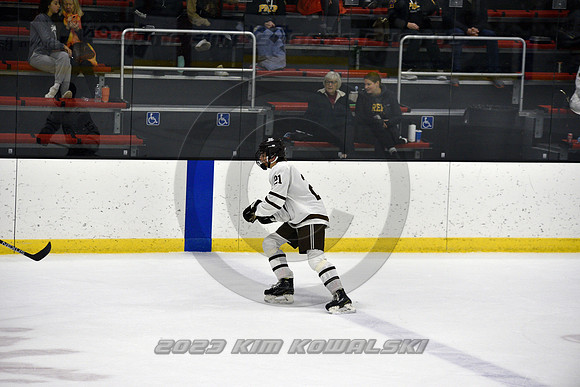 _GSP3018 (Copy)