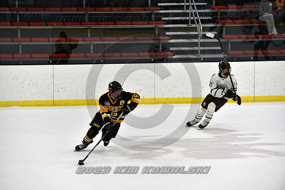 _GSP3068 (Copy)