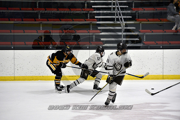 _GSP3019 (Copy)
