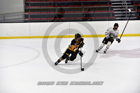 _GSP3069 (Copy)