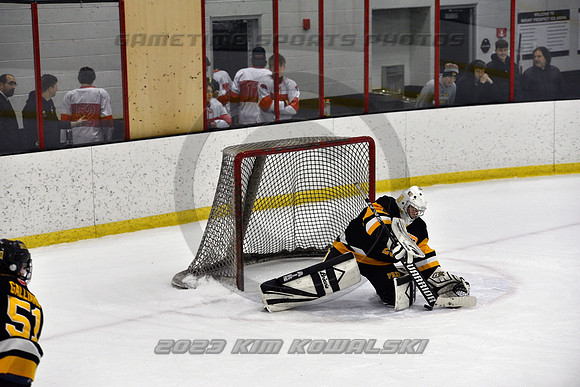 _GSP3118 (Copy)