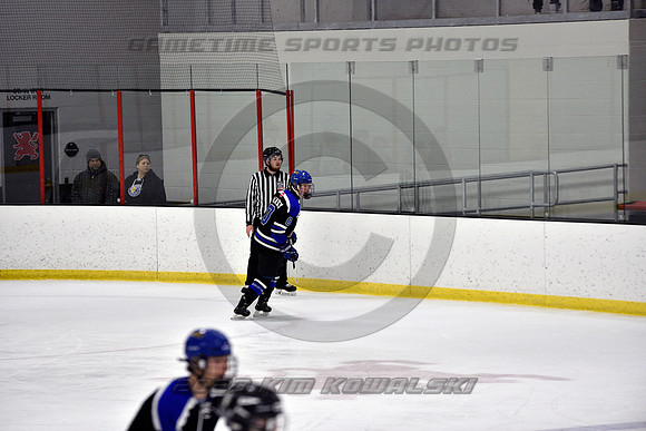 _GSP2118 (Copy)