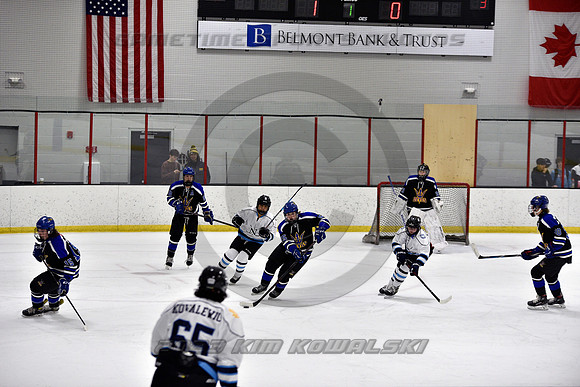 _GSP2208 (Copy)