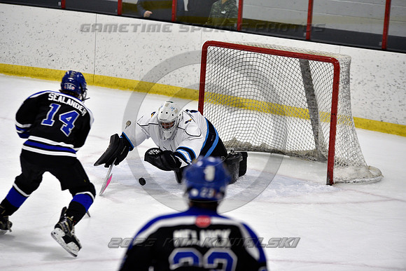 _GSP2161 (Copy)