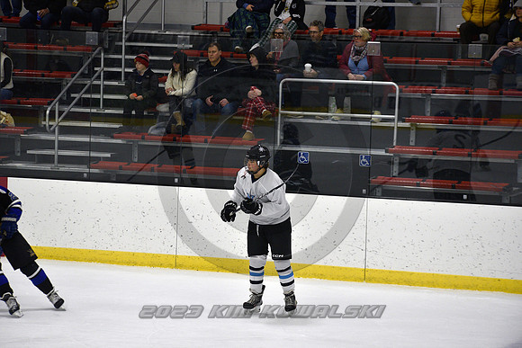_GSP2119 (Copy)