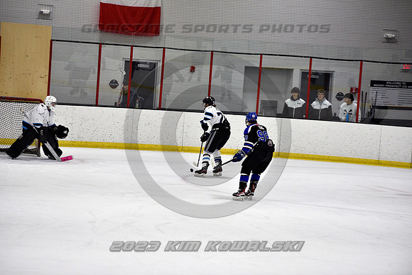_GSP2299 (Copy)