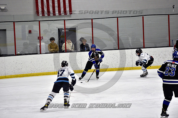 _GSP2121 (Copy)