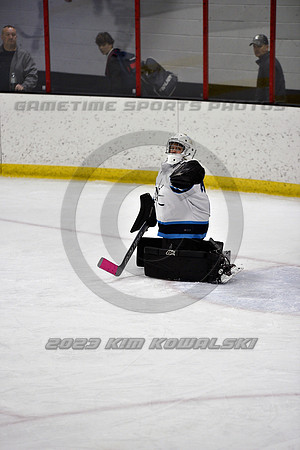 _GSP2081 (Copy)