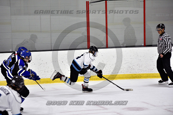 _GSP2342 (Copy)